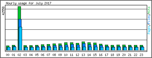 Hourly usage