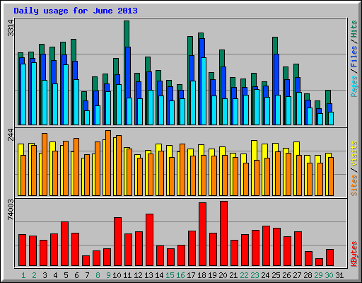 Daily usage for June 2013
