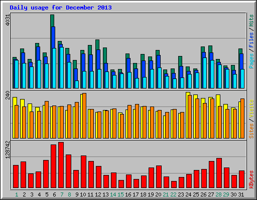 Daily usage for December 2013