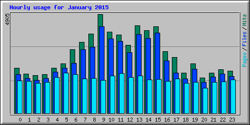 Hourly usage for January 2015