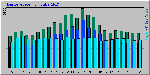 Hourly usage for July 2017